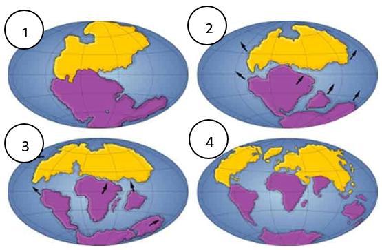 Atividade sobre deriva continental - 6º e 7º ano