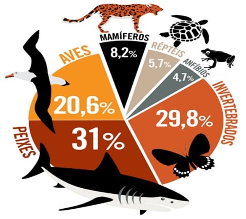 Atividade sobre animais em extinção - 6º e 7º ano