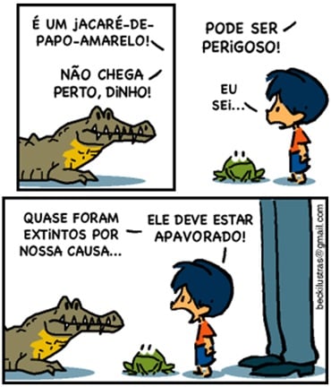 Atividade sobre animais em extinção - 6º e 7º ano