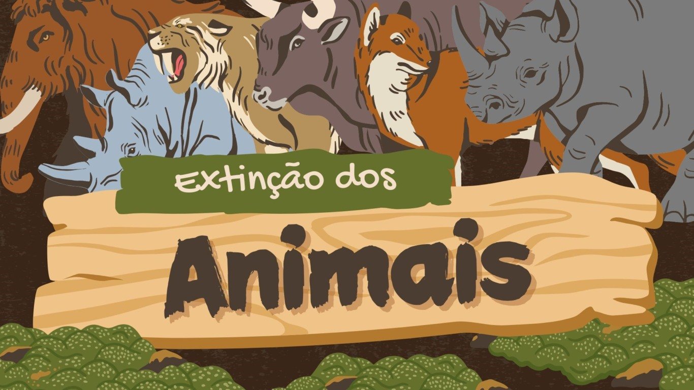 Atividade sobre animais em extinção - 6º e 7º ano