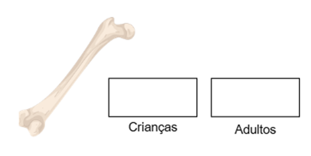 Atividade sobre o Esqueleto Humano - 3º e 4º ano