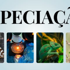 Atividade de Ciências sobre Especiação - 8º e 9º ano