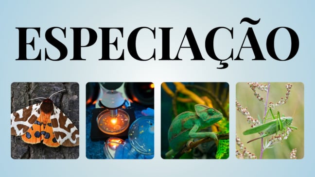 Atividade de Ciências sobre Especiação - 8º e 9º ano