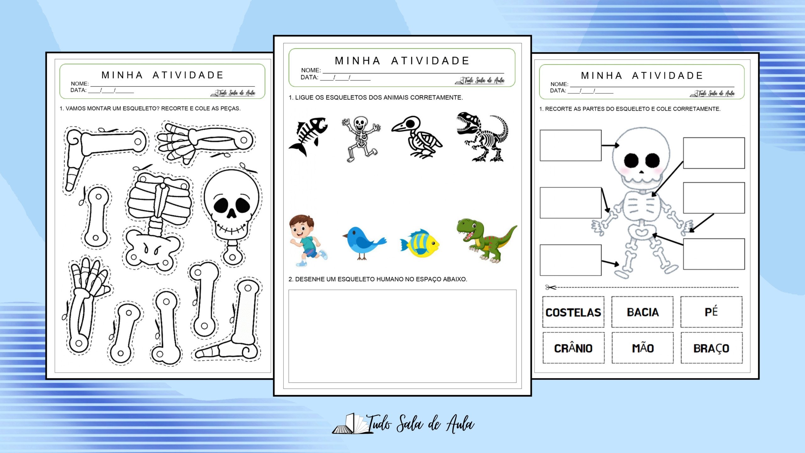Atividade sobre Esqueleto para Educação Infantil