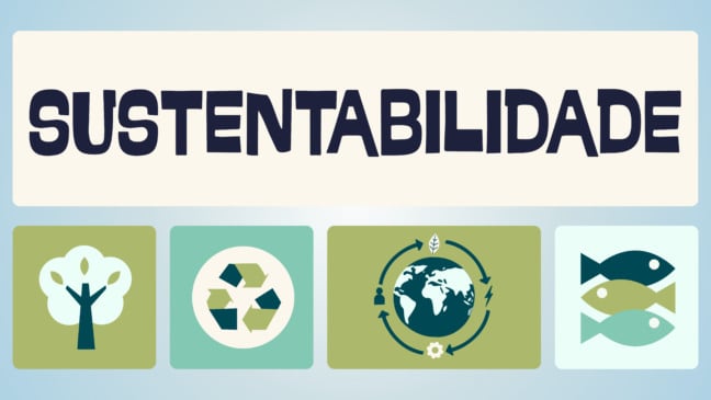 Atividade sobre Sustentabilidade para o 3º ano