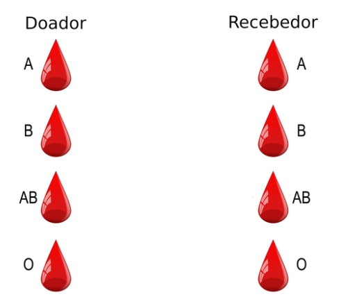 Atividade sobre Doação de Sangue - Anos Finais