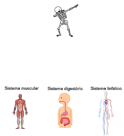 Atividade sobre o Esqueleto Humano - 3º e 4º ano
