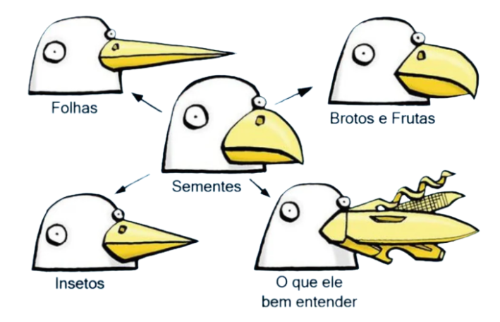 Atividade de Ciências sobre Especiação - 8º e 9º ano