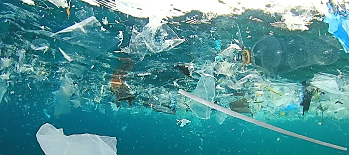 Plásticos e Microplásticos - Atividade de Ciências para Anos Finais