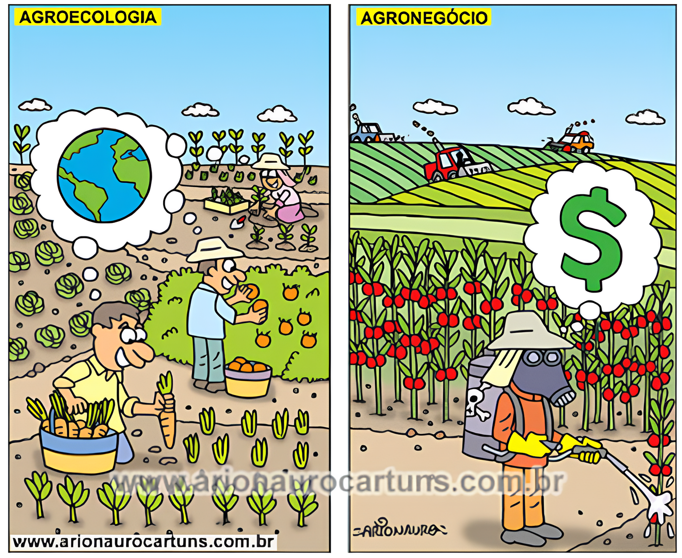 Atividade sobre Agricultura e Agronegócio