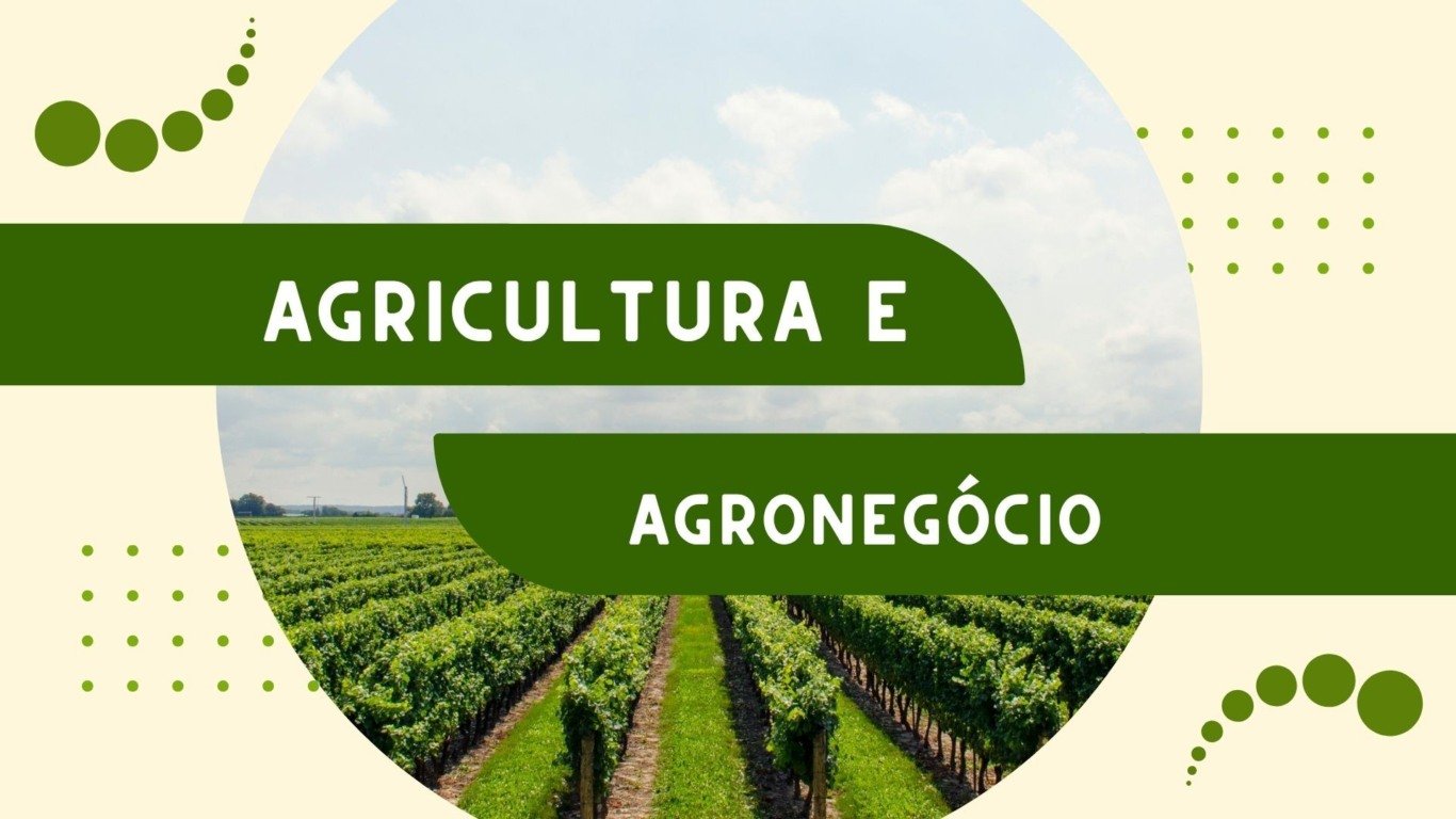 Atividade sobre Agricultura e Agronegócio