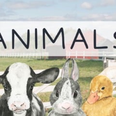 Atividade de Vocabulário em Inglês: Animais - 6º e 7º ano