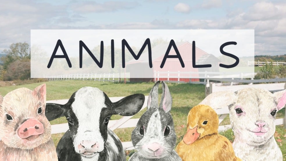 Atividade de Vocabulário em Inglês: Animais - 6º e 7º ano