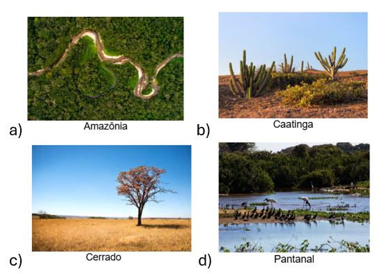 Atividade de Ciências sobre a COP 30