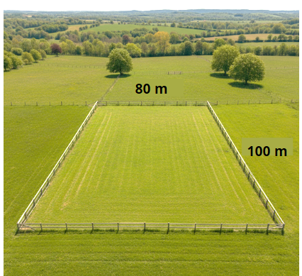 Atividade sobre Notação Exponencial - Ensino Médio