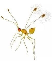 Exercícios sobre Notação Científica com Gabarito