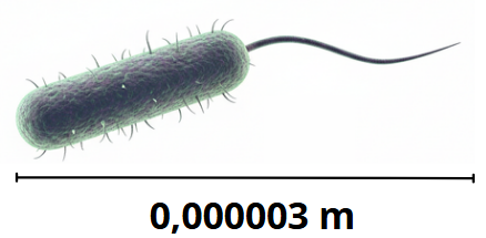 Atividade sobre Notação Exponencial - Ensino Médio