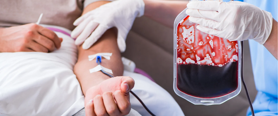 Atividade sobre Doação de Sangue - Anos Finais