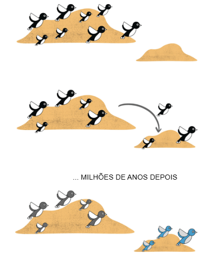 Atividade de Ciências sobre Especiação - 8º e 9º ano