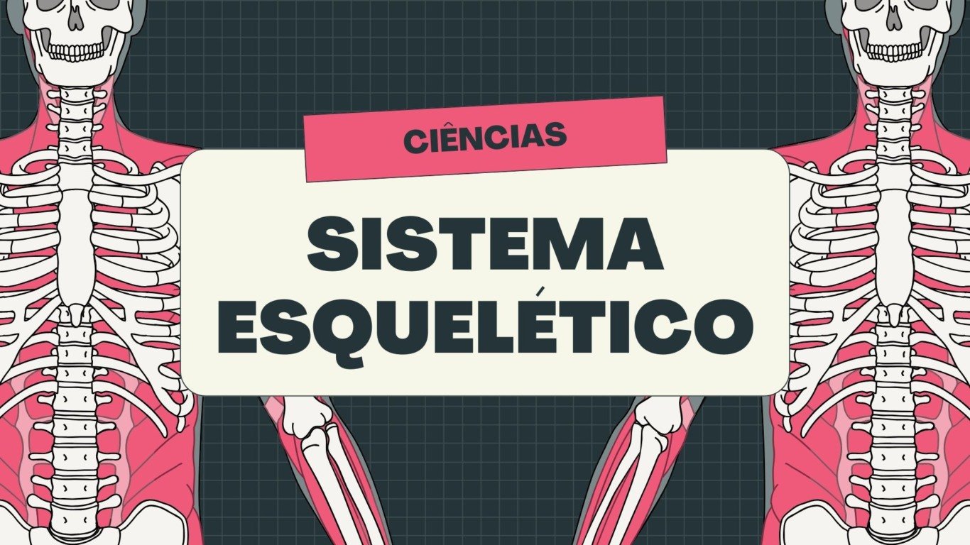 Atividade sobre o Esqueleto Humano - 3º e 4º ano