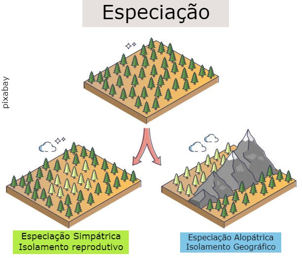 Atividade de Ciências sobre Especiação - 8º e 9º ano