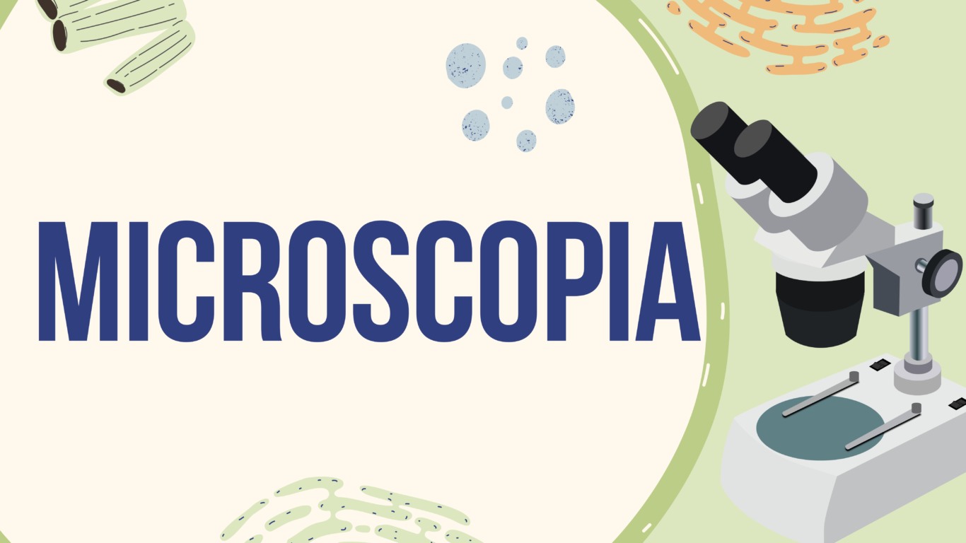 Atividade de Microscopia para o 6º e 7º ano