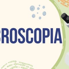 Atividade de Microscopia para o 6º e 7º ano