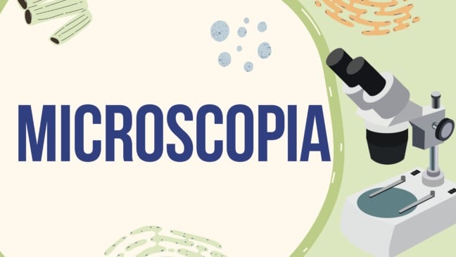Atividade de Microscopia para o 6º e 7º ano
