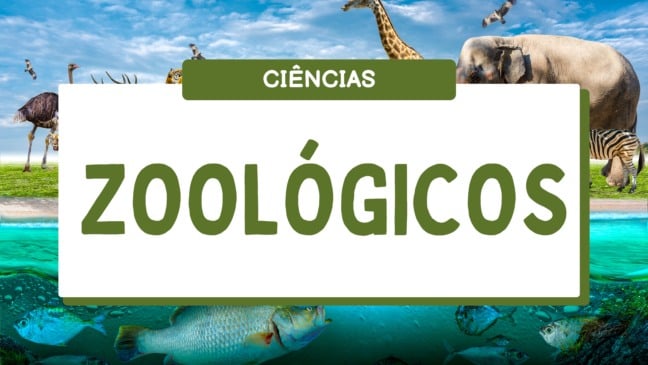 Atividade de Ciências sobre Zoológicos - Anos Finais