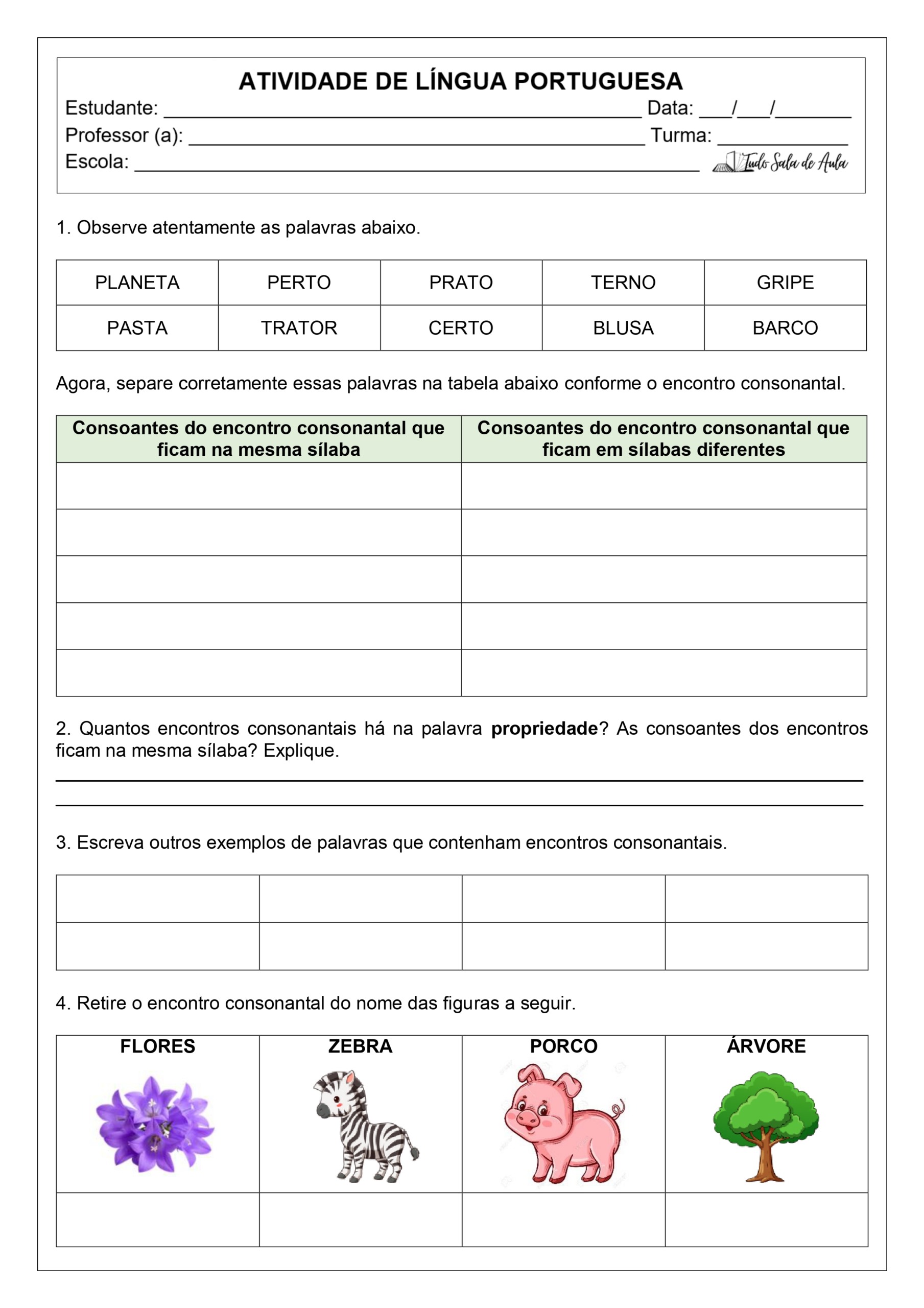 Atividades de Encontros Consonantais - 2º e 3º ano