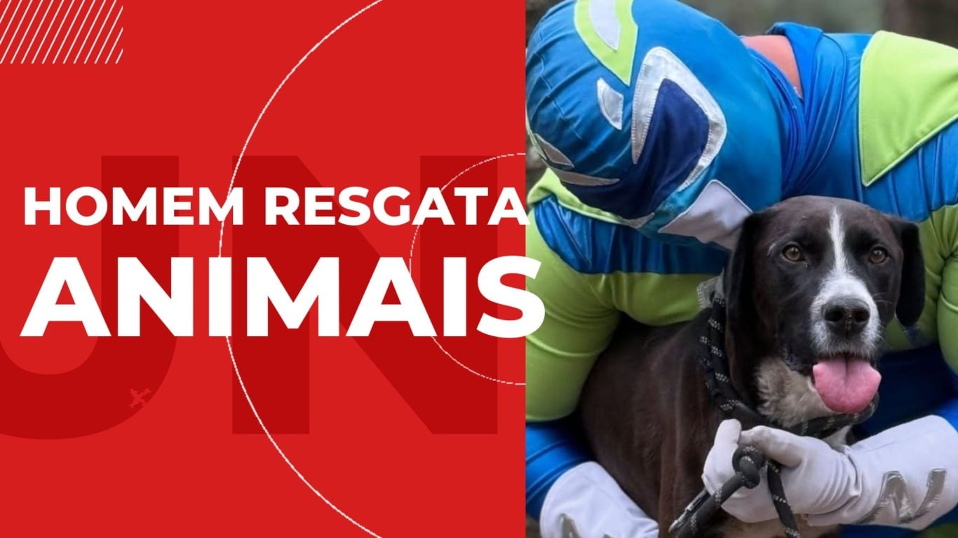 Notícia para Interpretação: Homem Resgata Animais - 6º e 7º ano