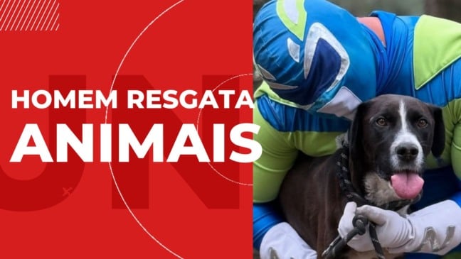 Notícia para Interpretação: Homem Resgata Animais - 6º e 7º ano