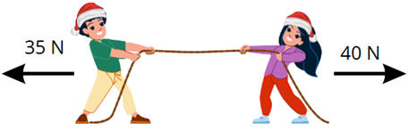 Atividade das Leis de Newton com Tema de Natal – Ensino Médio