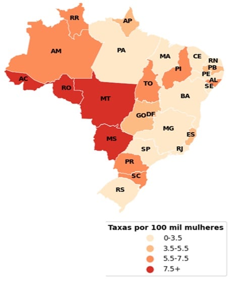 Atividade sobre o Combate ao Feminício - Anos Finais