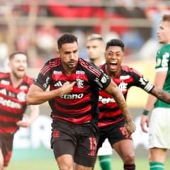 Atividade sobre a Final da Libertadores: Flamengo x Palmeiras - 5º ano