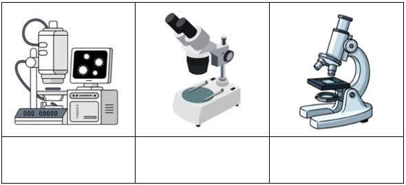 Atividade de Microscopia para o 6º e 7º ano