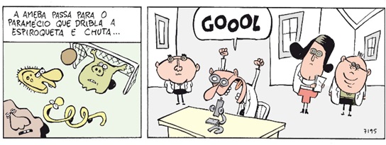 Atividade de Microscopia para o 6º e 7º ano