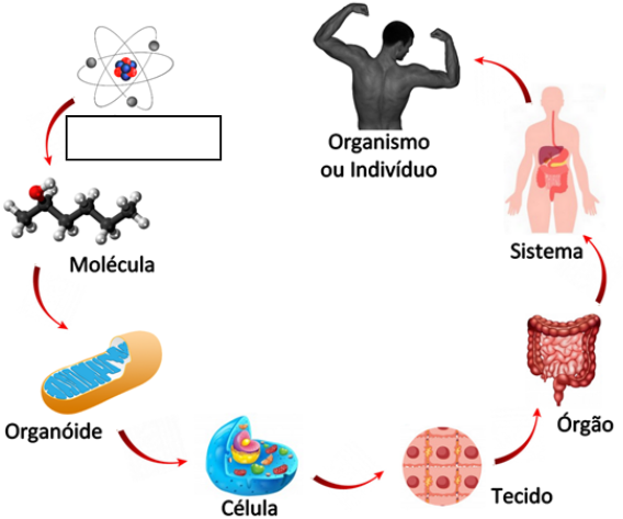 Atividade sobre os Estados F&iacute;sicos da Mat&eacute;ria - 8&ordm; e 9&ordm; ano