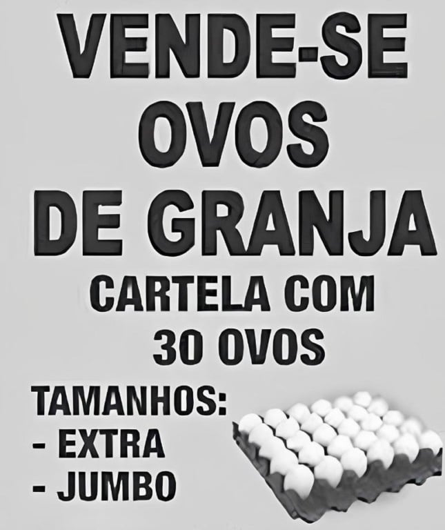 Atividade de Concordância Verbal - 8º e 9º ano