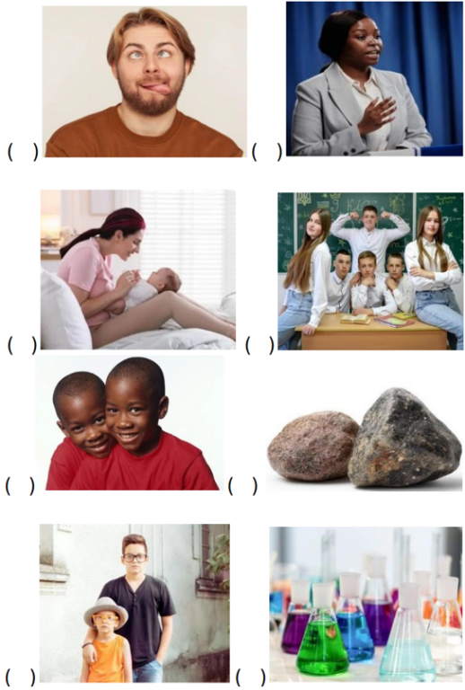 Interpretação de Texto em Inglês: Mãos Talentosas - Anos Finais