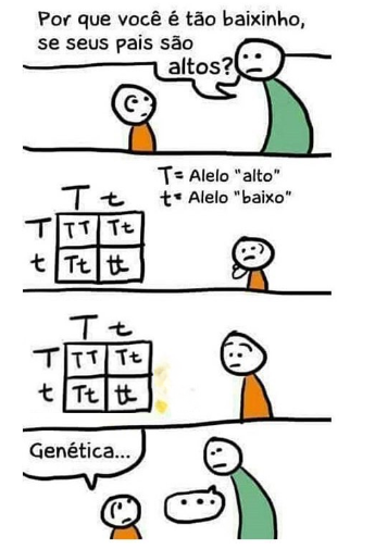 Exercícios sobre Heredogramas para 9º ano