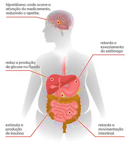 Atividade sobre o Mounjaro: Uso, Benefícios e Riscos - Anos Finais