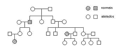 Exercícios sobre Heredogramas para 9º ano