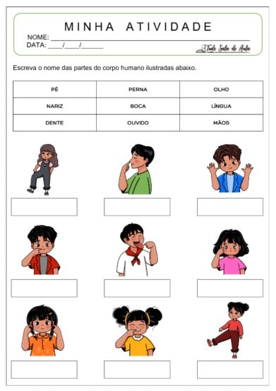 10 Atividades do Corpo Humano para o 1º ano Fundamental - Tudo Sala de Aula
