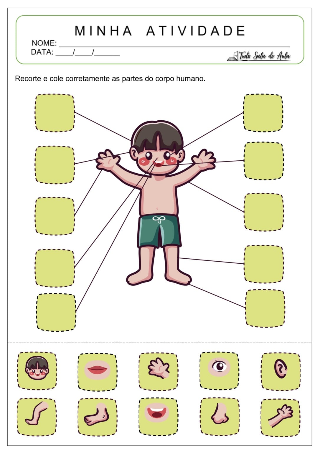 10 Atividades do Corpo Humano para o 1º ano Fundamental - Tudo Sala de Aula