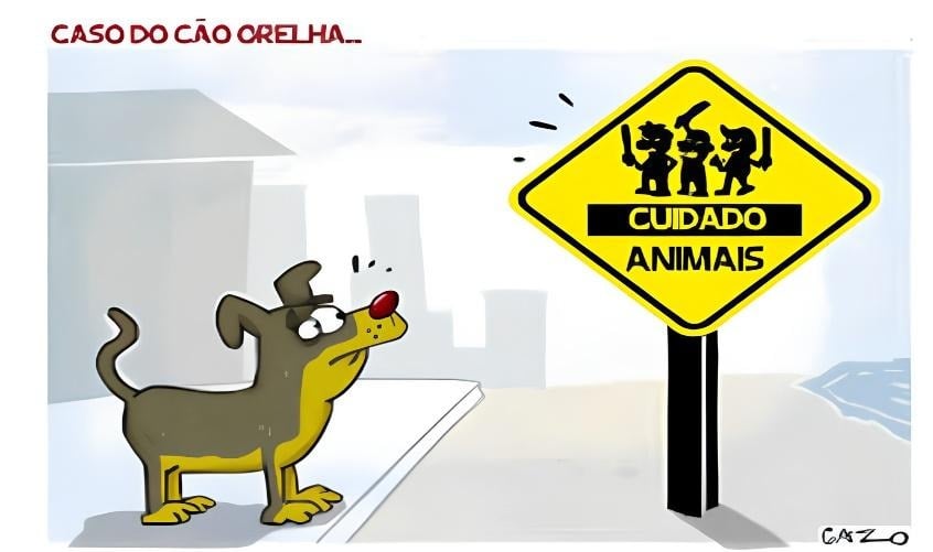 Atividade de Interpreta&ccedil;&atilde;o com textos sobre o C&atilde;o Orelha - 8&ordm; e 9&ordm; ano