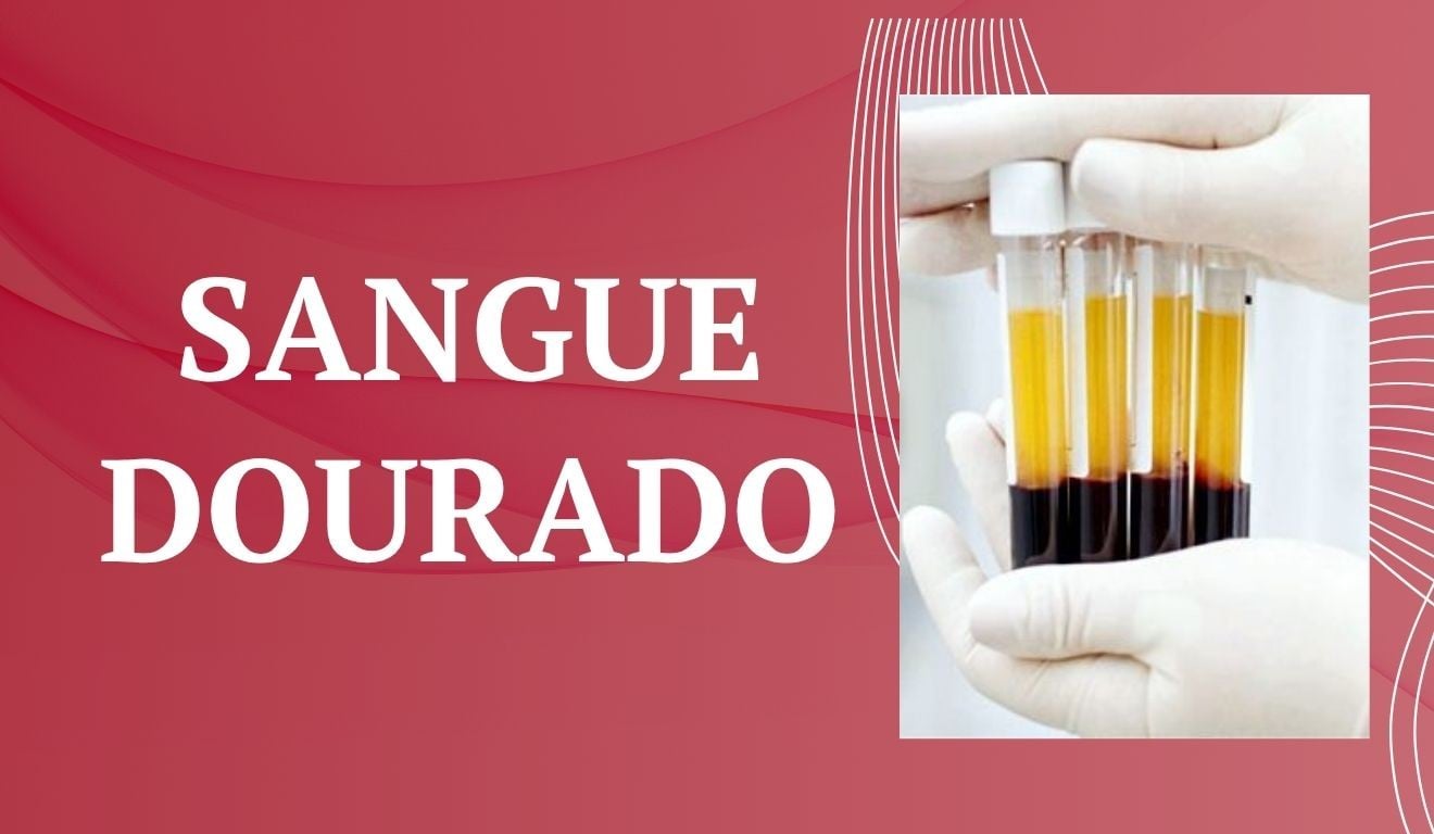 Sangue Dourado: Atividade de Ciências para 8º e 9º ano - Tudo Sala de Aula